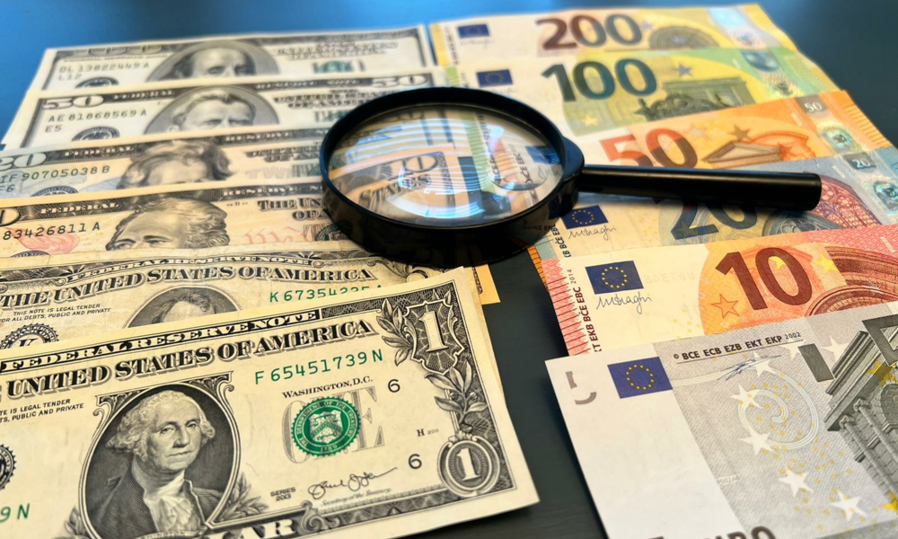 Studenci FIR zakończyli kursy w NBP
