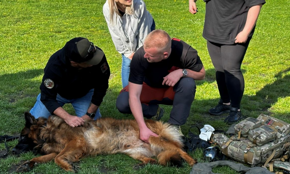 Psy – ratownicy pomagają nyskim studentom